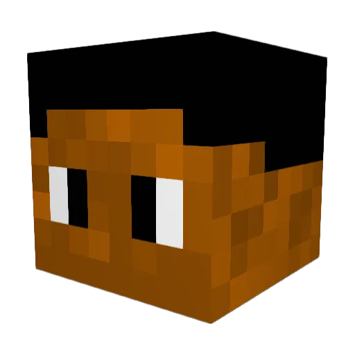 Tipapi_py Minecraft avatar head, 3D render