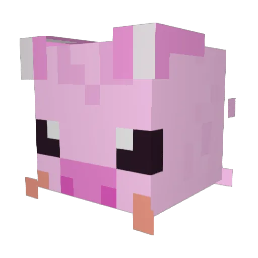 Tiph_ Minecraft avatar head, 3D render