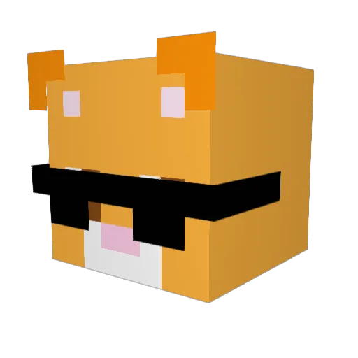 Tipiecat1003 Minecraft avatar head, 3D render