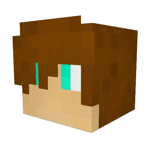 Tippitim Minecraft avatar head, 3D render