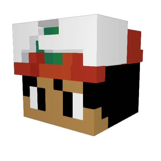 Tipppn Minecraft avatar head, 3D render