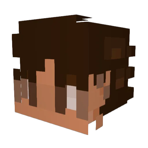 Tippy1234 Minecraft avatar head, 3D render