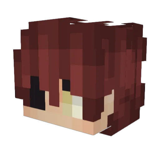 TippyWarrior_ Minecraft avatar head, 3D render