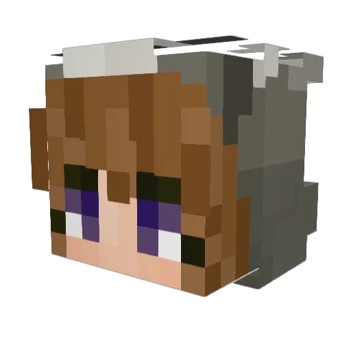 TippyXD Minecraft avatar head, 3D render