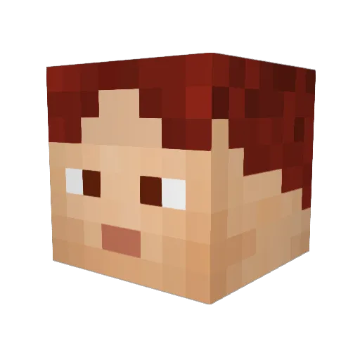 Tipski Minecraft avatar head, 3D render