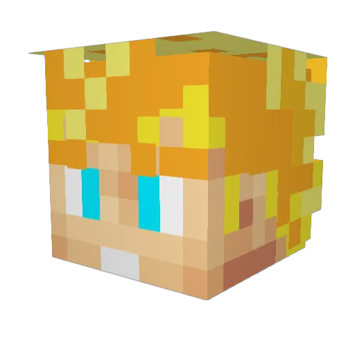 Tipsydienasty01 Minecraft avatar head, 3D render
