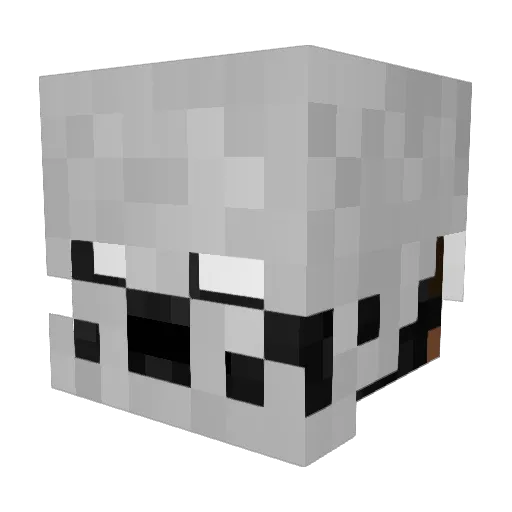 Tipsyhexx Minecraft avatar head, 3D render