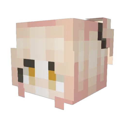 Tiptop12 Minecraft avatar head, 3D render