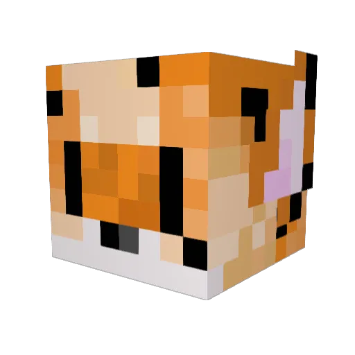 Tiqerr Minecraft avatar head, 3D render