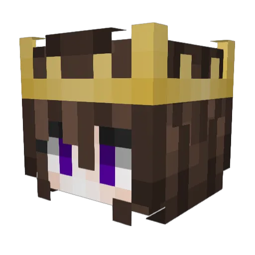 Tiqre Minecraft avatar head, 3D render