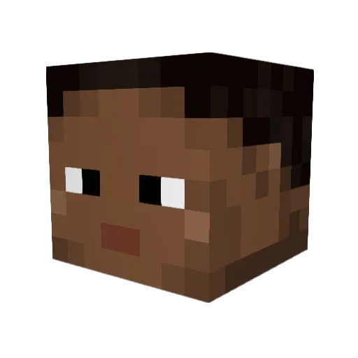 TiquiWini Minecraft avatar head, 3D render