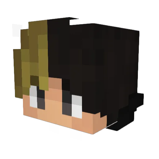 Tir_Frost Minecraft avatar head, 3D render