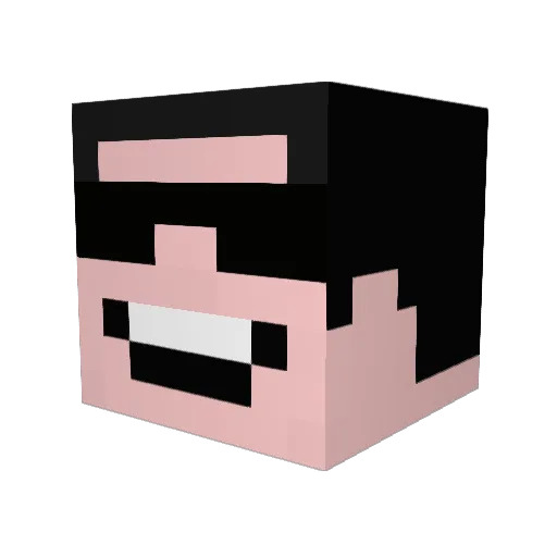 Tirailleur29 Minecraft avatar head, 3D render