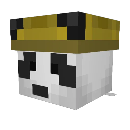 Tirapt Minecraft avatar head, 3D render