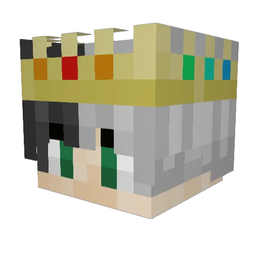 TiredBees_ Minecraft avatar head, 3D render