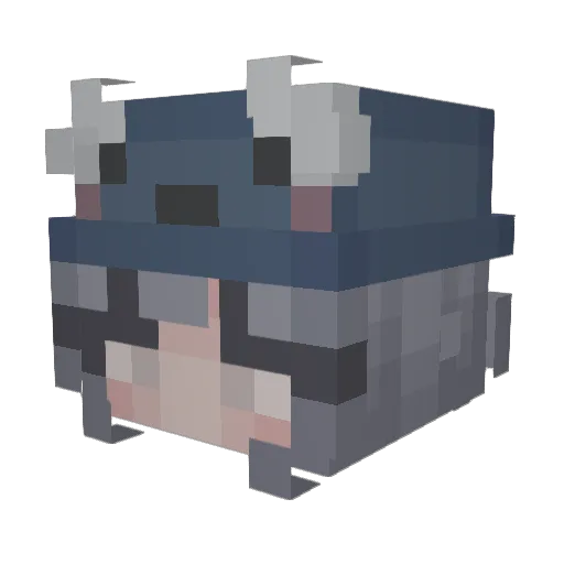 TiredHonk Minecraft avatar head, 3D render