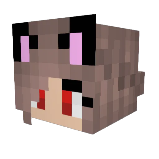 TiredHour Minecraft avatar head, 3D render
