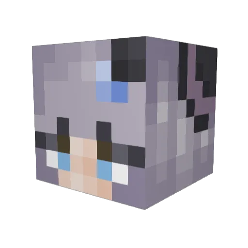 TiredSprinkles Minecraft avatar head, 3D render
