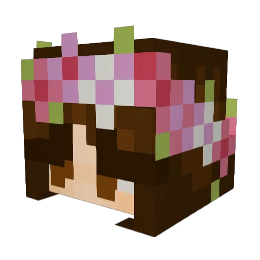 TiredStar Minecraft avatar head, 3D render