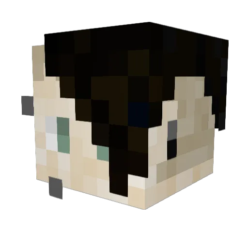 Tired_Lad Minecraft avatar head, 3D render