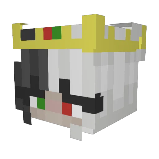 Tiredspatula Minecraft avatar head, 3D render