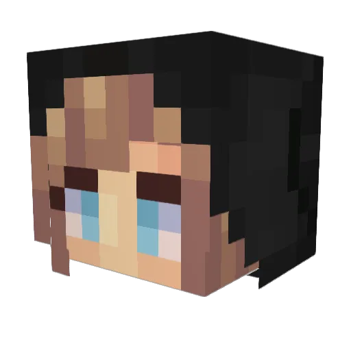 Tireiron Minecraft avatar head, 3D render