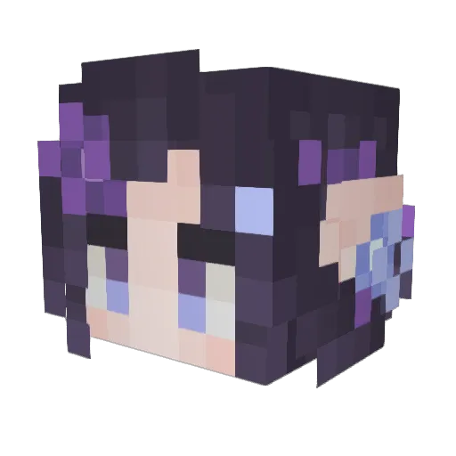 Tireric Minecraft avatar head, 3D render