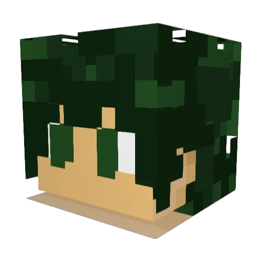 Tiresometuber Minecraft avatar head, 3D render