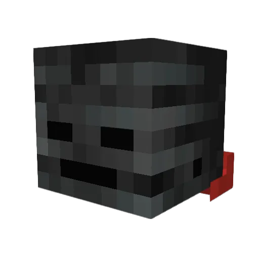 TiringSkate2337 Minecraft avatar head, 3D render