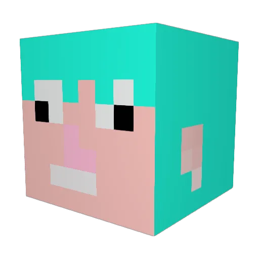 Tirnanog1 Minecraft avatar head, 3D render