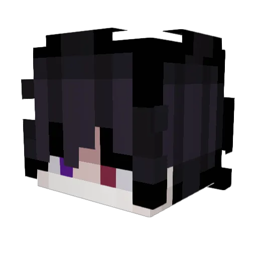 Tirox677 Minecraft avatar head, 3D render