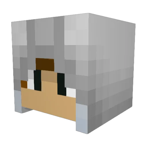 Tirxan Minecraft avatar head, 3D render
