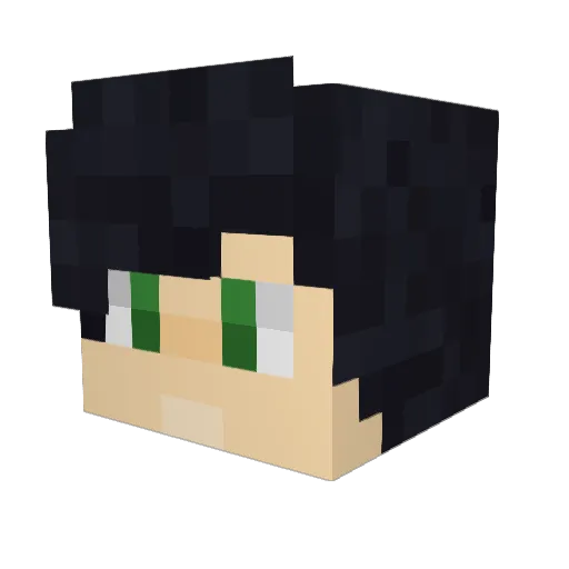 TisB_ Minecraft avatar head, 3D render