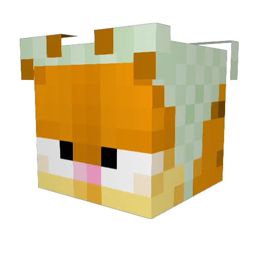 TisConfusion Minecraft avatar head, 3D render