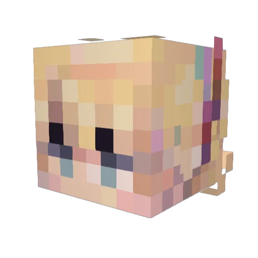 TisFlamingo Minecraft avatar head, 3D render