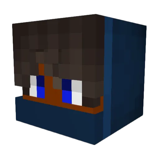 TisMey_ Minecraft avatar head, 3D render