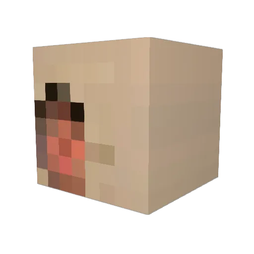 TisTh3Season Minecraft avatar head, 3D render