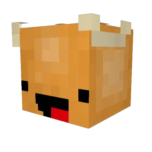 TisTheWombat Minecraft avatar head, 3D render
