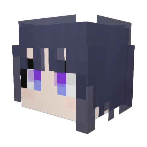 Tis_10 Minecraft avatar head, 3D render