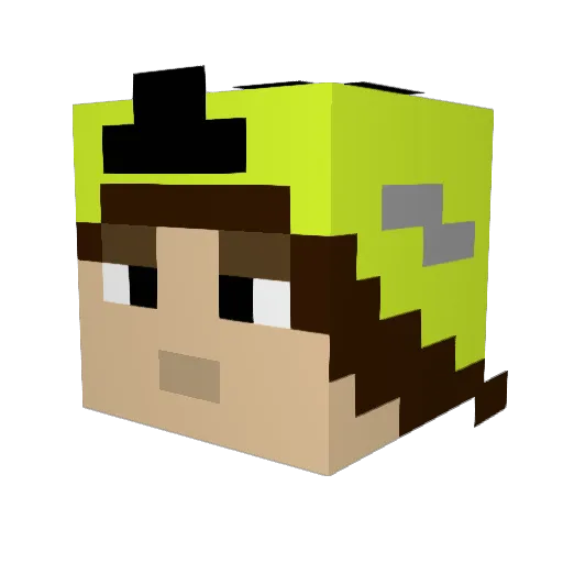 Tisa911 Minecraft avatar head, 3D render