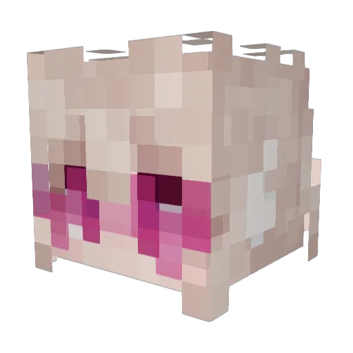 Tishkaa Minecraft avatar head, 3D render