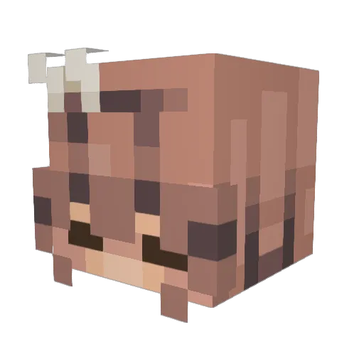Minecraft-Avatar von TismBee: Kopf als 3D-Render
