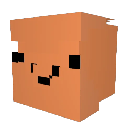 TismicMonkey19 Minecraft avatar head, 3D render