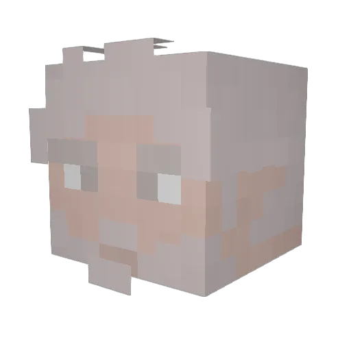 Tisonquichante Minecraft avatar head, 3D render