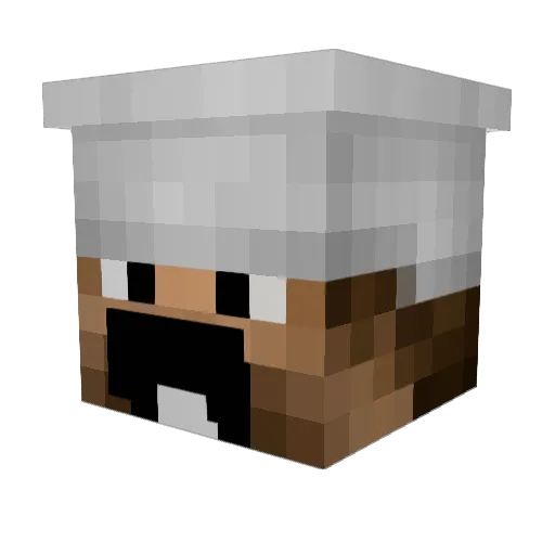 TissMotTiss Minecraft avatar head, 3D render