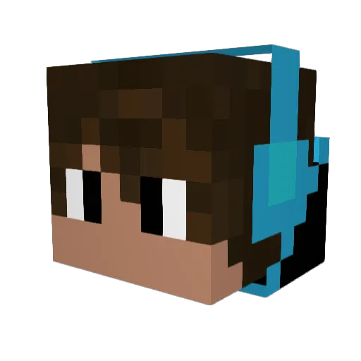 Tissa_the_turtle Minecraft avatar head, 3D render