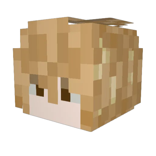 Tisssu Minecraft avatar head, 3D render
