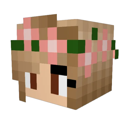 Tistarr Minecraft avatar head, 3D render