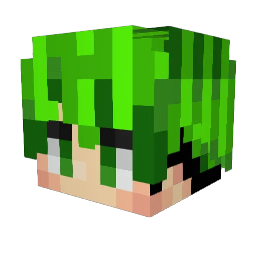 TitN_ Minecraft avatar head, 3D render
