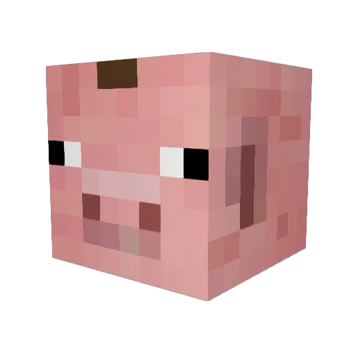 Titan101 Minecraft avatar head, 3D render